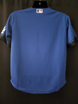 Dodgers Youth Jersey