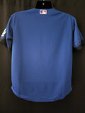 Dodgers Youth Jersey