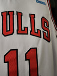 DeRozan Bulls Jersey