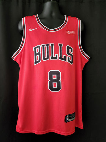 LaVine Bulls Jersey