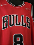 LaVine Bulls Jersey