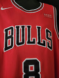 LaVine Bulls Jersey