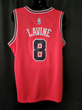 LaVine Bulls Jersey