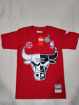 Bulls NBA T-Shirt